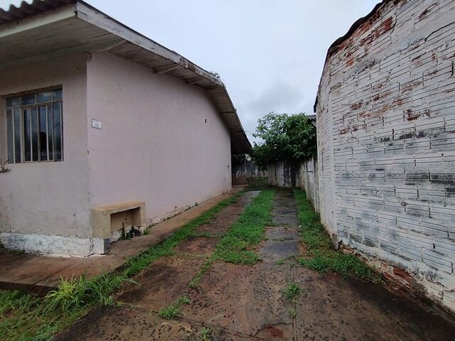 Imagem 18