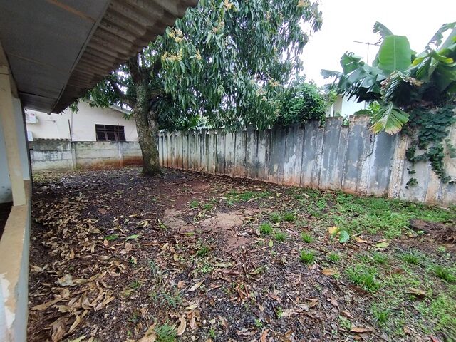 Imagem 21