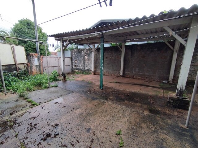 Imagem 19