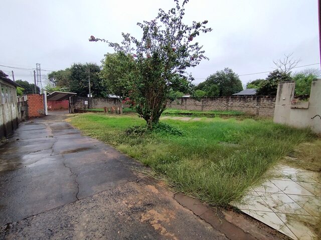 Imagem 11