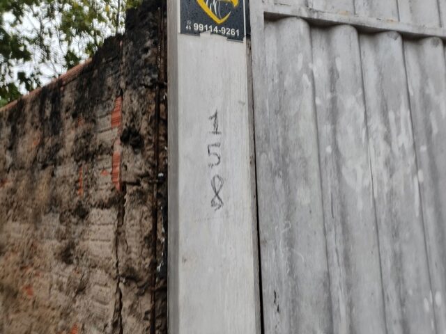 Imagem 6
